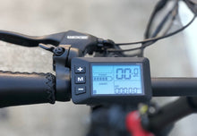 Cargar imagen en el visor de la galería, RAM SS