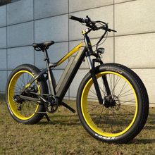 Cargar imagen en el visor de la galería, SJ-26 - Fat Tire E-bike