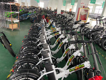 Cargar imagen en el visor de la galería, Green Bikes - Model K